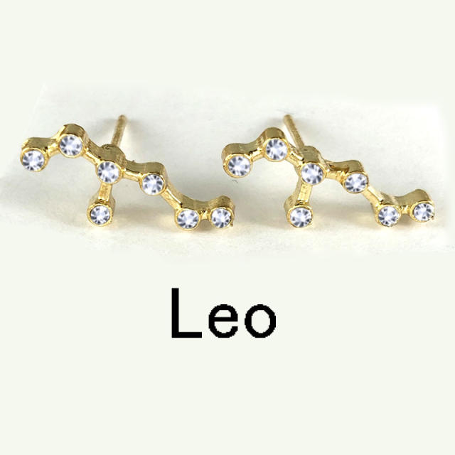 Wish hot sale zodiac ear studs