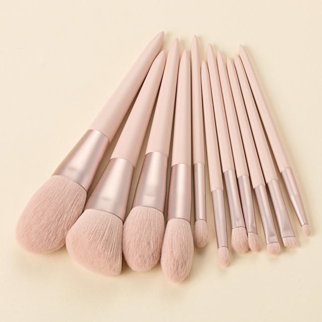 11pcs pink color makeup brushe set