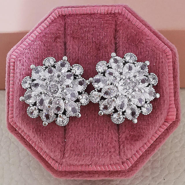 Delicate white color cubic zircon ear studs