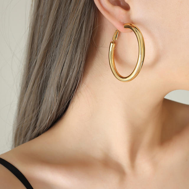 INS stainless steel earrings hoop earrings