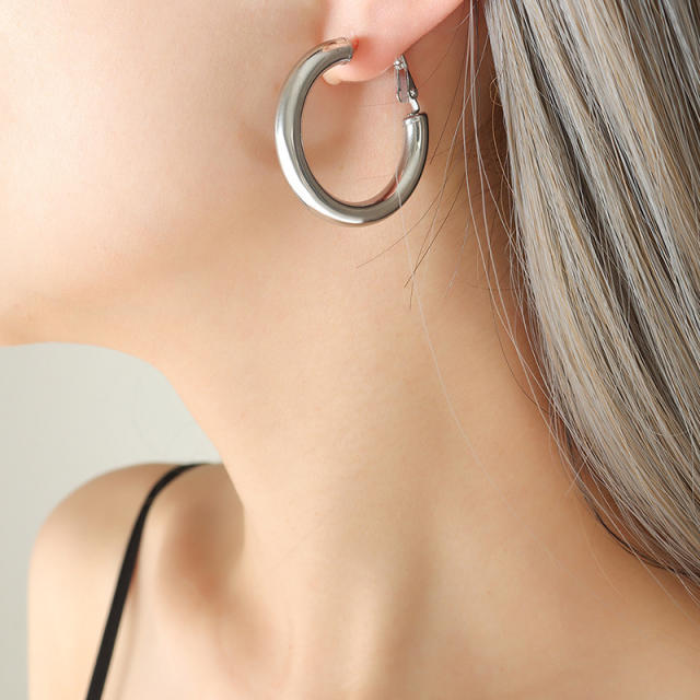 INS stainless steel earrings hoop earrings