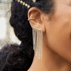 Luxury diamond tassel stainless steel earrings