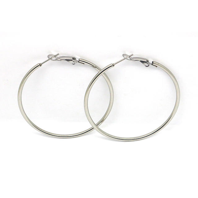 Easy match stainless steel hoop earrings