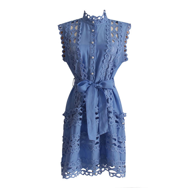 Eleagnt hollow lace A shape short dress