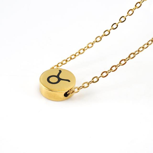 Dainty stainless steel zodiac pendant necklace