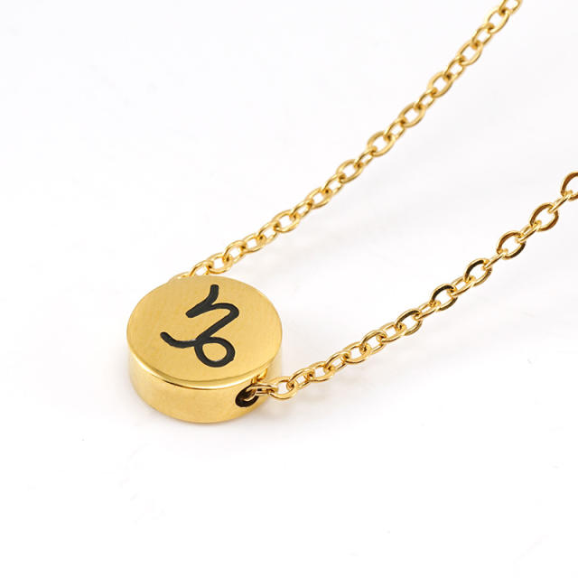 Dainty stainless steel zodiac pendant necklace