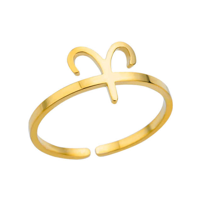 Simple zodiac them stainless steel rings tail rings