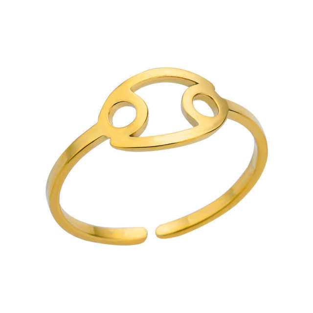 Simple zodiac them stainless steel rings tail rings