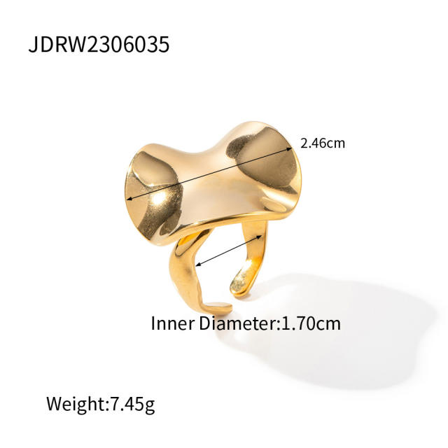 INS geometric shape stainless steel earrings rings set