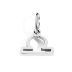 Zodiac stainless steel necklace pendant diy jewelry