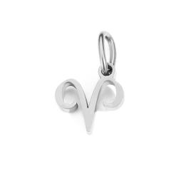 Zodiac stainless steel necklace pendant diy jewelry
