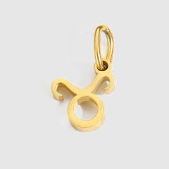 Zodiac stainless steel necklace pendant diy jewelry