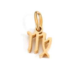 Zodiac stainless steel necklace pendant diy jewelry