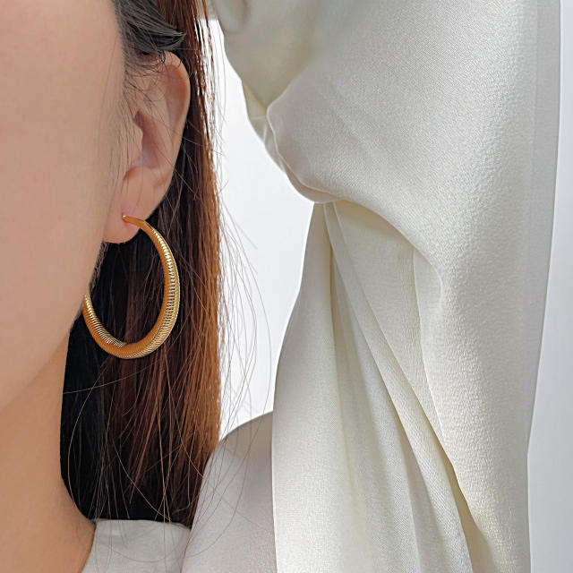 Concise big hoop stainless steel earrings