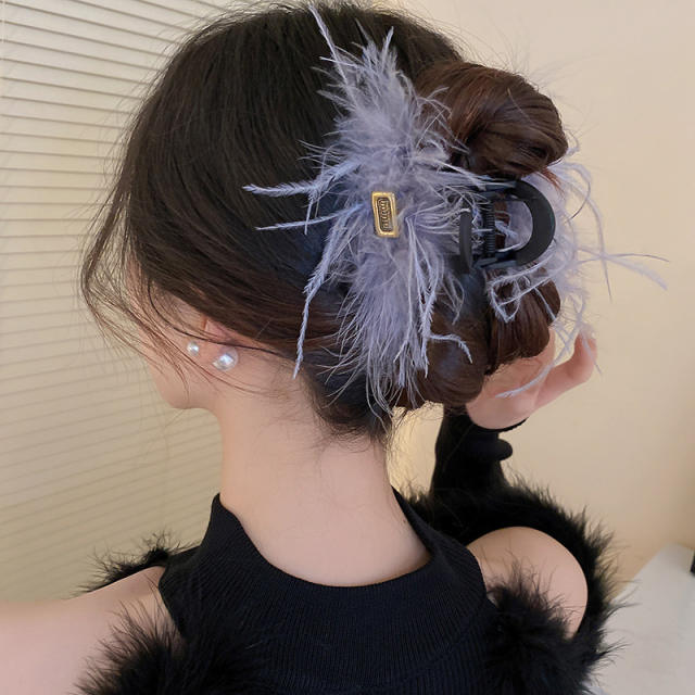 Winter super pretty feather design hair clips clips collections