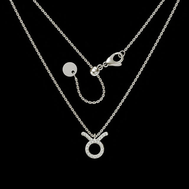 Stainless steel diamond zodiac symbol necklace dainty necklace