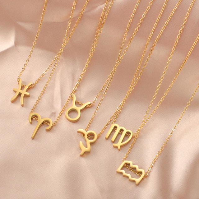 Dainty zodiac symbol stainless steel necklace