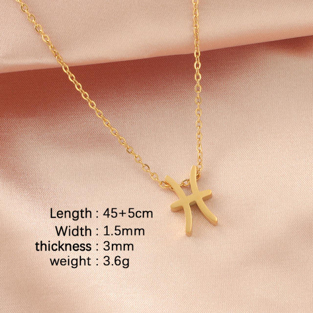 Dainty zodiac symbol stainless steel necklace