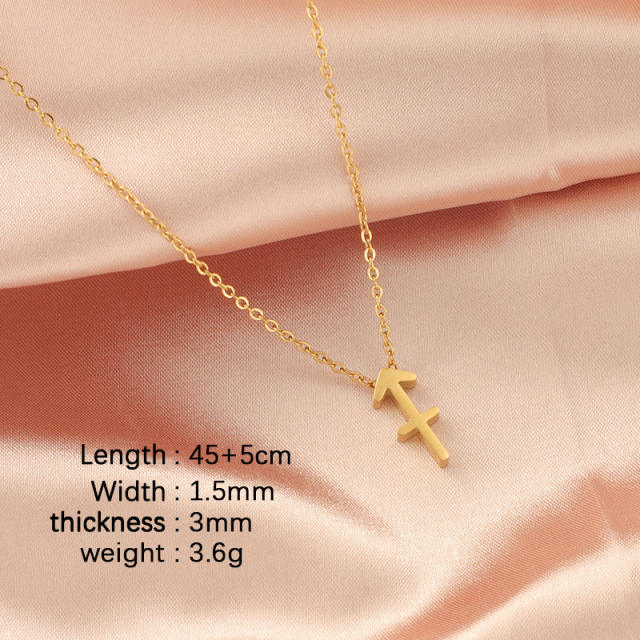 Dainty zodiac symbol stainless steel necklace