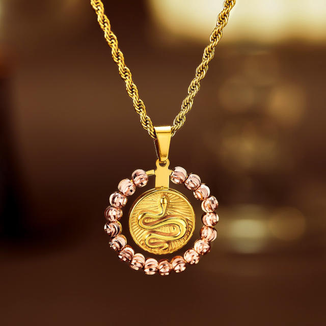 Unique snake coin pendant stainless steel necklace