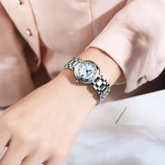 Small Dial Women's Steel Band Watch Domestic Watch Waterproof Luminous Elegant Women