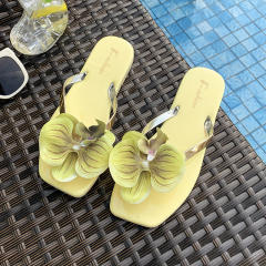 French Style Gentle Fairy Sandals Slippers Women's Summer Phalaenopsis Seaside Holiday Flip-Flops