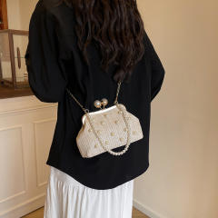 Pearl Handheld Clip Bag Spring New Woven Bag Chain Shoulder Straw Bag Crossbody Beach Women's Bag
