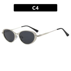 Oval Minimalist Sunglasses 2026 New Style Sunglasses reading glasses