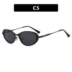 Oval Minimalist Sunglasses 2026 New Style Sunglasses reading glasses