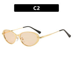 Oval Minimalist Sunglasses 2026 New Style Sunglasses reading glasses
