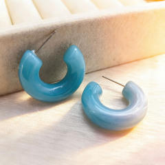 2026 Three-Dimensional C-Shaped Vintage Earrings stainless steel needle earrings