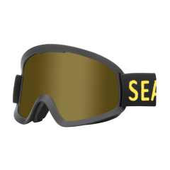 sk-379 ski glasses
