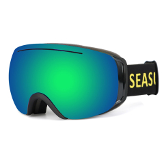 SK-209 Ski goggles