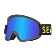 sk-379 ski glasses