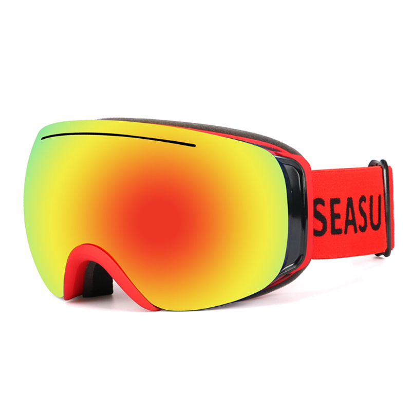 SK-209 Ski goggles