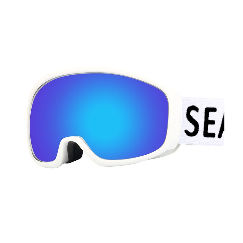 SK-376 Ski goggles