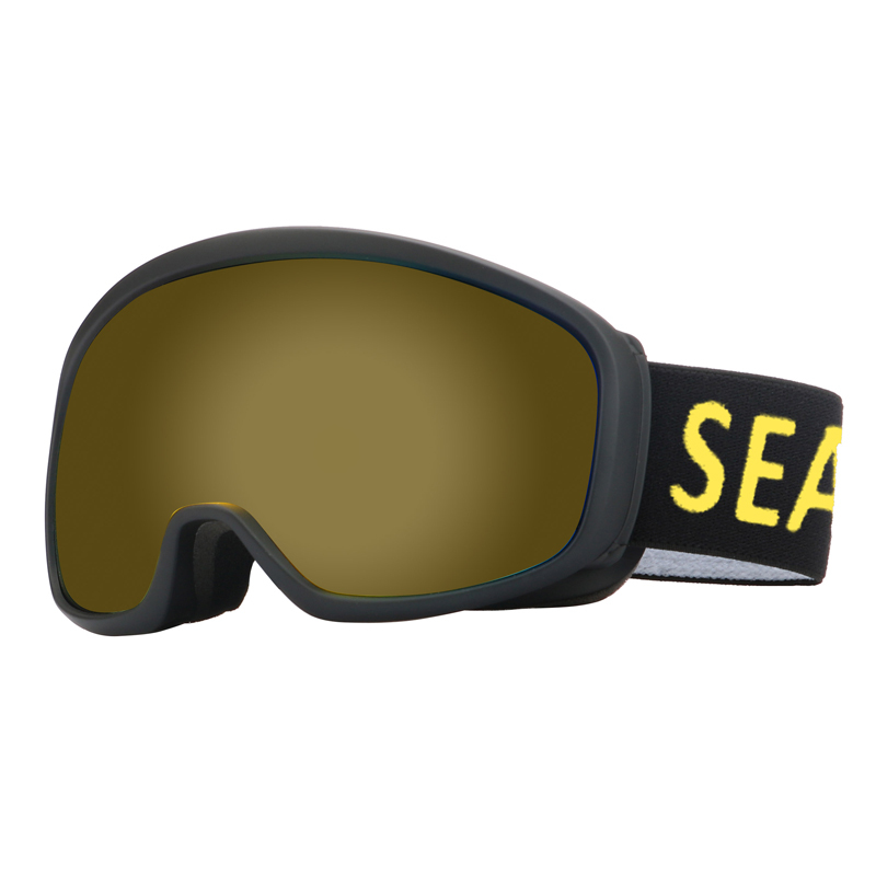 SK-376 Ski goggles