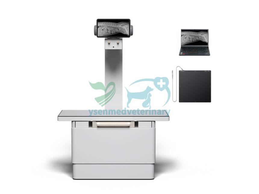 Transforming Veterinary Care: The Evolution and Impact of Digital X-ray Machines for Large Animals