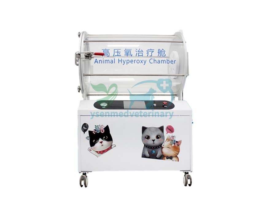 Advancing Veterinary Care: Unveiling the Benefits of Hyperbaric Oxygen Therapy in Animal Health