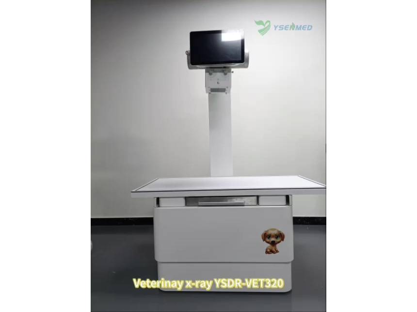 YSENMED supplies veterinary equipment for a new vet clinic in Saudi Arabia