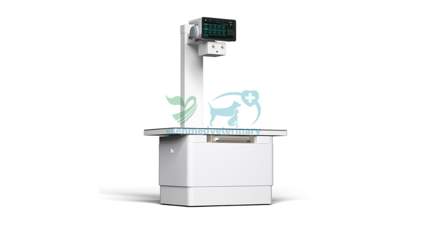 Unveiling the Invisible: A Peek into Pet Health with High-Frequency Digital X-Rays