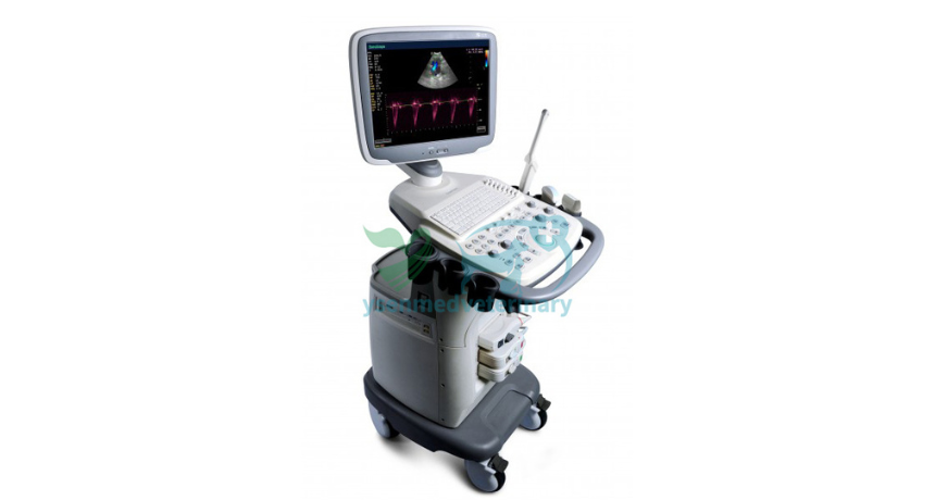 Unlocking Healthcare's Future: Trolley Mobile Ultrasound's Impact on Point-of-Care Diagnostics