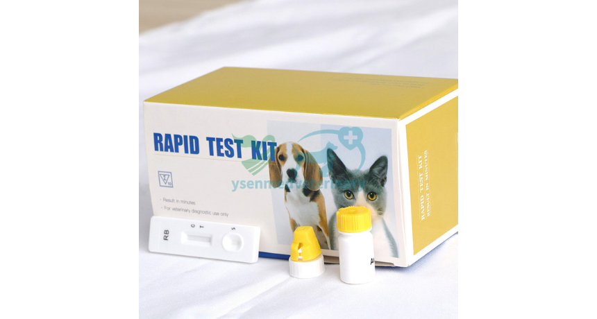 Rabies Warriors: Unveiling the Vital Role of Veterinary RB Ab Test Strips in Timely Intervention