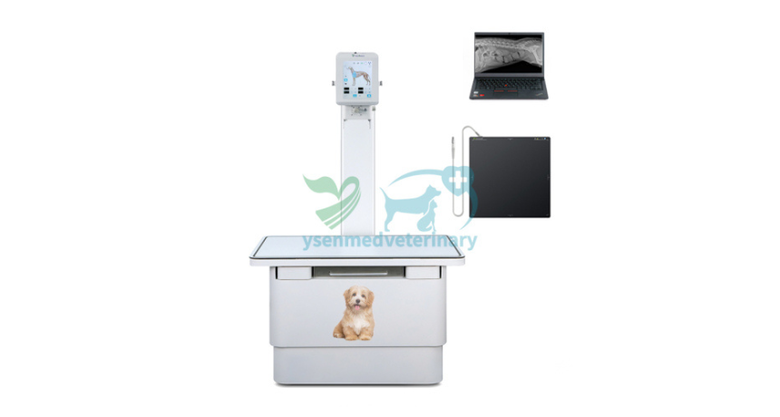 From Shadows to Solutions: Leveraging 10kw X-ray Machines for Veterinary Care