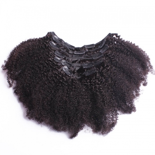 4B 4C Brazilian Afro Kinky Curly Clip In Human Hair Extensions Human Natural Color Hair Can Be Dyed