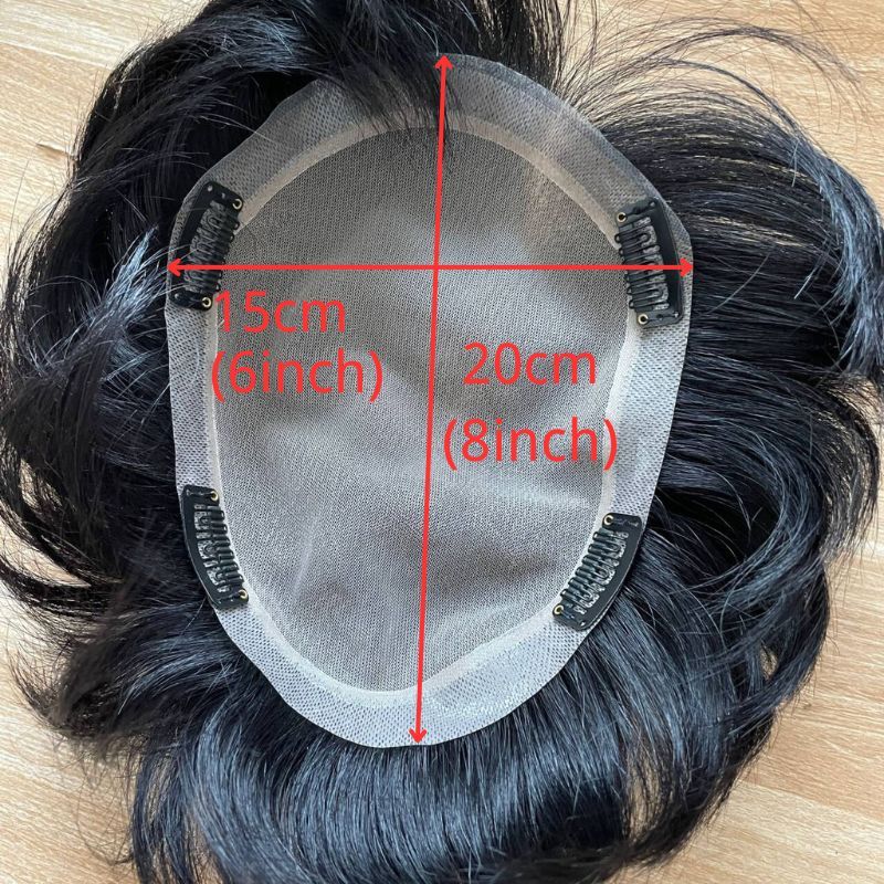 Pwigs Toupee for Men 100%Human Hair Toupee Swiss Lace Toupee For Men With NPU Around Clip In Hair System Toupee 1B Color Hair Piece European Human Hair Men Toupee Natural Hairline Hair System Hair Men Wigs