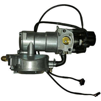 LPG NG Propane Multi-Fuel Carburetor W/. Double Stepper Motor Applied For WSE5000 WSE5000S 5KW Automatic Start DC Battery Extender Generator
