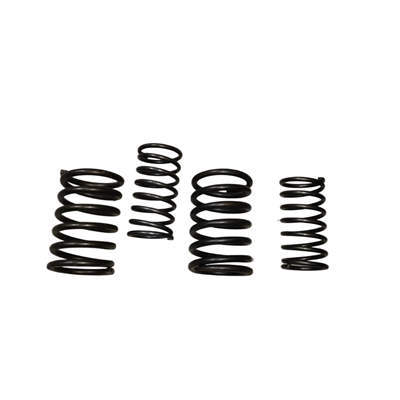 Valve Springs Set (Inner and Outer) For Changchai Changfa Or Similar ZS1110 1115 S1110 S1115 Single Cylinder Water Cool Diesel Engine