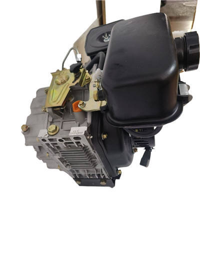 WSE250V 250CC Vertical Shaft Direct Injection Small Air Cool Diesel Engine Used For All kinds of Applications