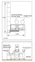 RJWJ-200C Soft Gelatin Capsule Filling Machine